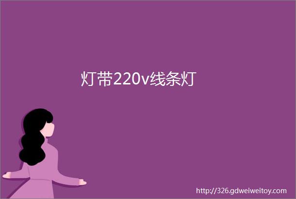 灯带220v线条灯