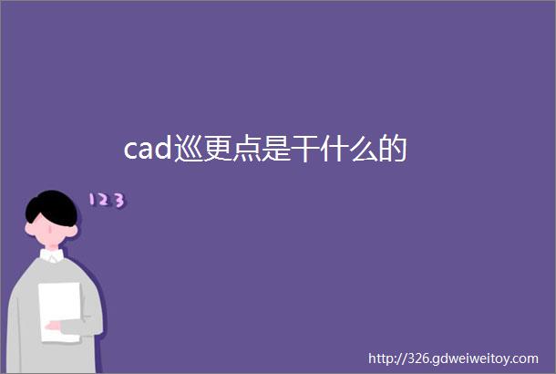 cad巡更点是干什么的